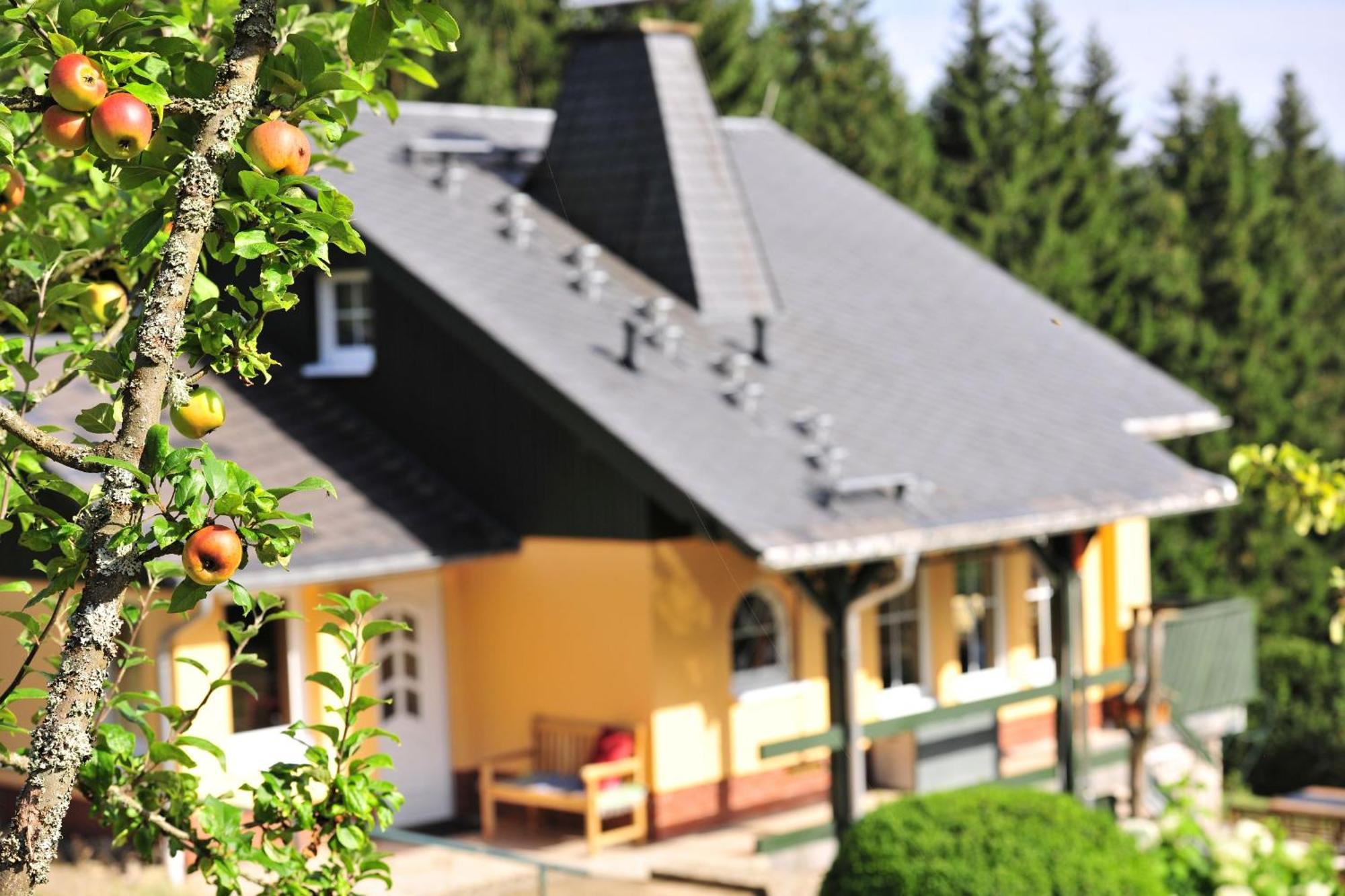 Exklusives Ferienhaus "Waldzauber" Ruhe Und Natur Pur Am Waldrand Geniessen Schönheide Zewnętrze zdjęcie